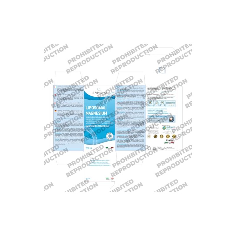 Bandini® Liposomal Magnesium Liquid | High Strength & Bioavailability