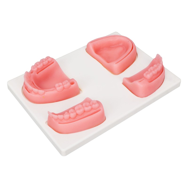 Dental Suture Practice Kit Silicone Model Pliers Tweezers Thread Oral