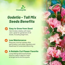 Outsidepride 5000 Seeds Annual Godetia Tall Flower Seed Mix for Planting