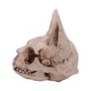 Nemesis Now Bastet's Secret Cat Skull Figurine Ornament, Natural Bone