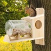 Uncle Dunkels Backyard Squirrel Feeder (w/Gallon Glass Jar); Rustic Handmade