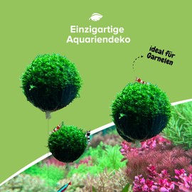 NatureHolic Floating Spheres Aquarium Moss Balls Floating Moss Balls for Self-Tie 3 Pieces with Diameter 40 mm