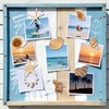 Natural Seashell Fridge Magnets 8PCS, Starfish Shell Refrigerator Magnets