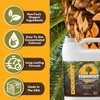 Endurant Palm Colorant – Non-Toxic Palm Tree Protector - Enhances