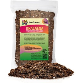GARDENERA Premium Dracaena Soil Mix - 1 Quart - Expertly Formulated Potting Mix for Thriving Dracaena Trees and Shrubs