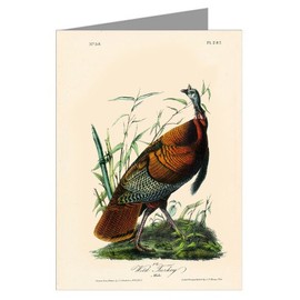 Twelve Assorted Notecards of John James Audubon Celebrated Illustrations of Audubon's Birds of North America Featuring Series I