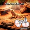 100W 2-Pack Reptile Basking Heat Bulb - UVA Daylight Heat