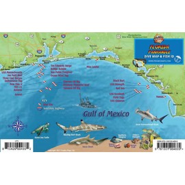 Florida Panhandle Dive & Wreck Map & Reef Creatures Guide Franko Maps Waterproof Fish Card