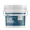 Earthborn Elements Calcium Carbonate Powder (1 Gallon), Natural Antacid, Limestone