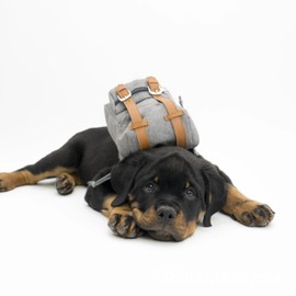 apott Cute Dog Backpack for Dogs to Wear Puppy Backpacks Adjustable Pet Self Carrier Bag with Poop Bag Dispenser for Hiking Daily Walking, Grey