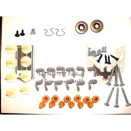 FBODY STORE 1978 -1981 Camaro Firebird Trans Am Door Panel installation Clip / Fastener kit