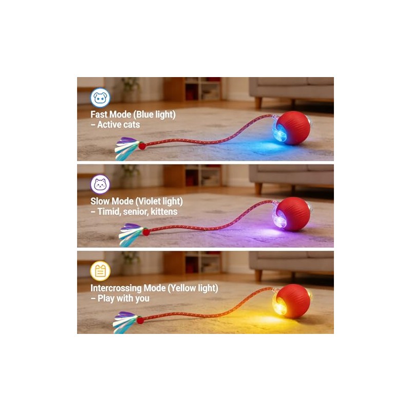 Speedy Tail 2.0 Cat Toy – 2 Replaceable Tails, Controllable