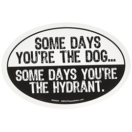 Prismatix Decal Cat and Dog Magnets, Some Days You're The Dog