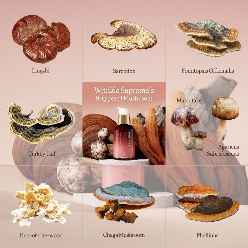 THE SKIN HOUSE Wrinkle Supreme Serum – Red Ginseng &