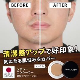 Concealer Men's Ochre (Bear, Acne Marks, Blue Beard, Blue Beard, Partial Foundation, Cream, Made in Japan, Beige) [SIBOLEY]