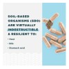 Probióticos Para Mujeres De Ancient Nutrition, Once Daily Pr N/a