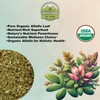 ZeeHERBS Organic Alfalfa Leaf 4 oz. (113g) Pack, USDA Certified