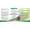 Standardized Milk Thistle Extract, Natural, Vegan, 80% Silymarin (420mg, 100
