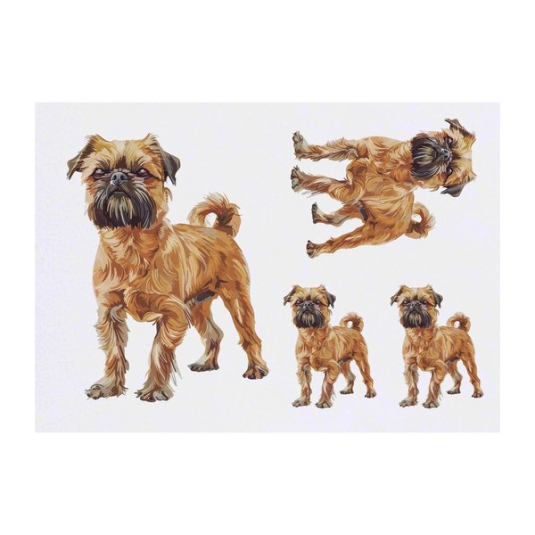4 x 'Brussels Griffon Standing' Temporary Tattoos - Water Resistant,