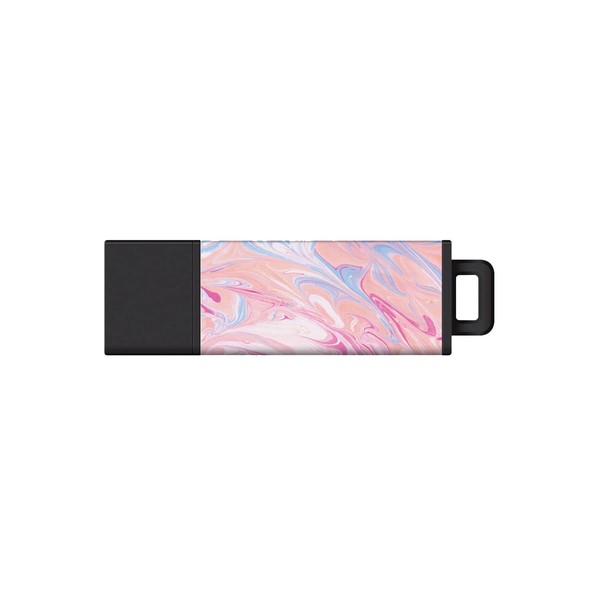 Centon Electronics DataStick Pro2 Prints USB 2.0 Flash Drive, Portable