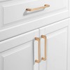TUNNY 10 Pack Modern Cabinet Handles-3.8"/96mm Screw Spacing Matte Champagne
