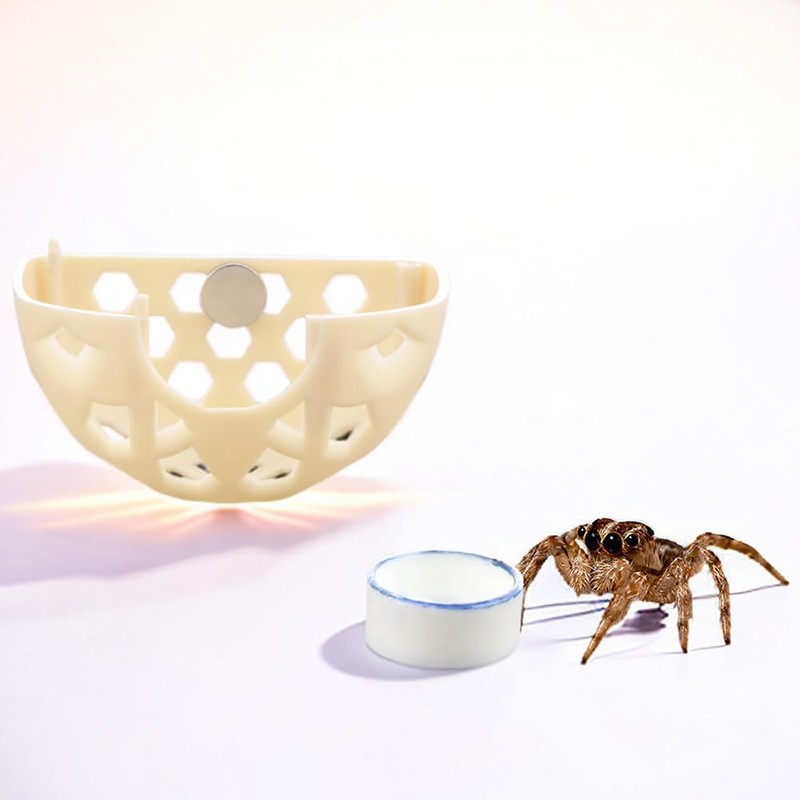 DQITJ Jumping Spider Hidden House Tarantula Enclosure Accessories with Magnet