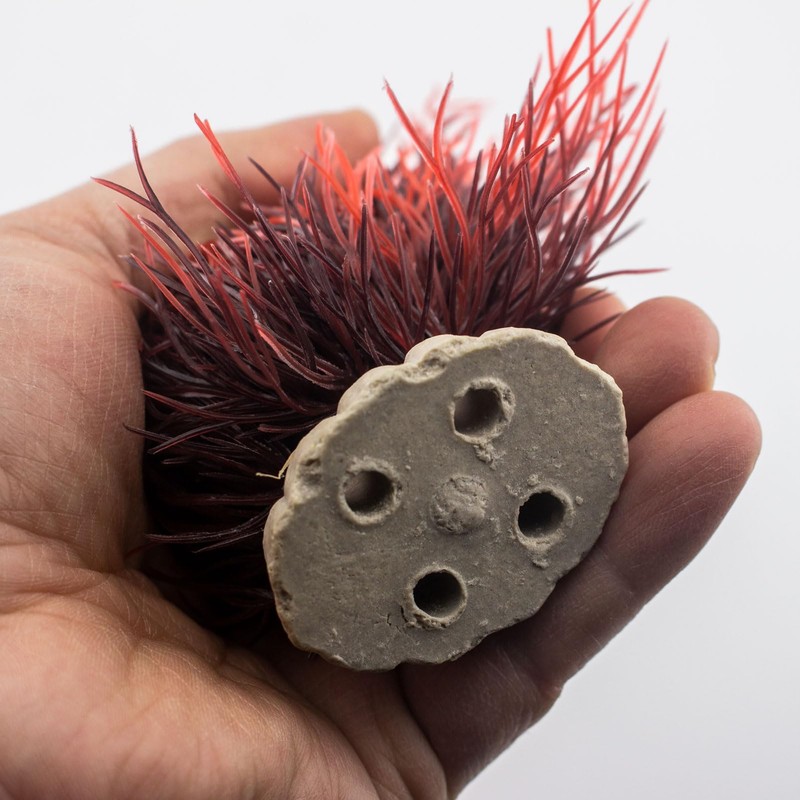 TAOMYPETS Fish Tank Decorations Aquarium Plants Plastic Artificial Décor (Black