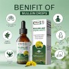 Alliwise Mullein Leaf Tincture Natural Liquid Drops Extract 2 Oz