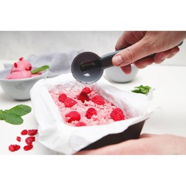 FACKELMANN Ice Cream Scoop, Plastic, with Easy Release Ice Ball Lifting Function, Cookie Scoop, Spooning Gelato or Sorbet, Non-Stick, Anti-Scratch, Black, 19cm
