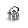 Satin Steel Kettle