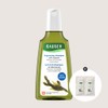 RAUSCH [Rausch] Seaweed Oily Scalp Shampoo 200ml / [라우쉬] 씨위드