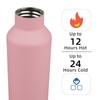 Insulated Water Bottle with Straw,17 OZ Double Wall Vacuum Stainless