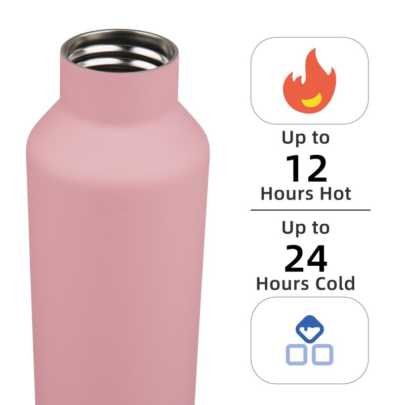 Insulated Water Bottle with Straw,17 OZ Double Wall Vacuum Stainless