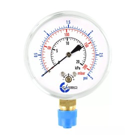 CARBO INSTRUMENTS 2-1/2" Capsule Diaphragm Pressure Gauge 3 PSI 1/4" NPT Low Mnt, Adjustable Zero