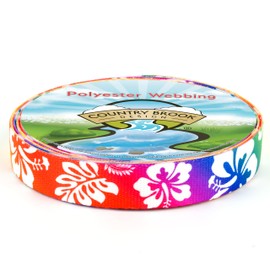 Country Brook Design - Hawaiian Rainbow Polyester Webbing (1 Inch, 10 Yards)