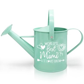 Hexagram Mimi Gifts for Grandma, Birthday Gifts for Mimi, Gardening Present for Grandma, Mint Metal Watering Can for Nana, Best Gigi Present from Grandkids, Mothers Day Christmas Garden Decor