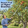 Fruit Picker Tool for Harvesting Apples and Peaches – High-Reach