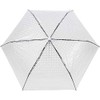 iX-brella Pocket Umbrella Transparent with Lens Effect and Coloured Handle