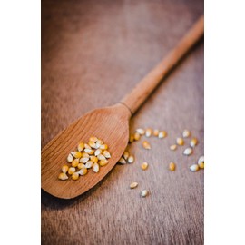 Amish Country Popcorn | 14 oz Bottle | Baby Yellow Popcorn Kernels | Old Fashioned, Non-GMO and Gluten Free (14 oz Bottle)