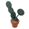 6PCS Cactus Coaster Set Heat Insulation Antislip Multifunctional DIY Funny