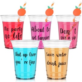 30 Pcs 16 oz Disposable Clear Plastic Cups Bulk Party Drinking Cups Water Cups Plastic Cocktail Cups Beer Cups for Adult Parties Wedding Birthday Reception Beverage Tea Lemonade Serving Supplies
