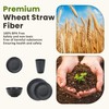 Homienly 40-Pieces Wheat Straw Dinnerware Set, Kitchen Plastic Wheat Straw