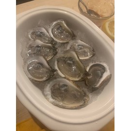 Rocky Mountain Goods Oyster Knife Shucker – Stainless Steel Blade with Safety Hand Guard – Ergonomic Design for Right or Left Hand Use – Dishwasher Safe