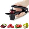 Ruibo Cherry Pitter Tool And Olive Pitter Remover Stoner Manual