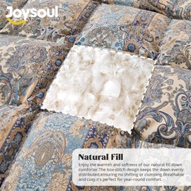 Joysoul Queen Size Down Comforter with Paisley Floral- All Season Ultra Soft Goose Feather Fiber - Ultra Soft Household Collection Down Duvet Insert 68" X 88"