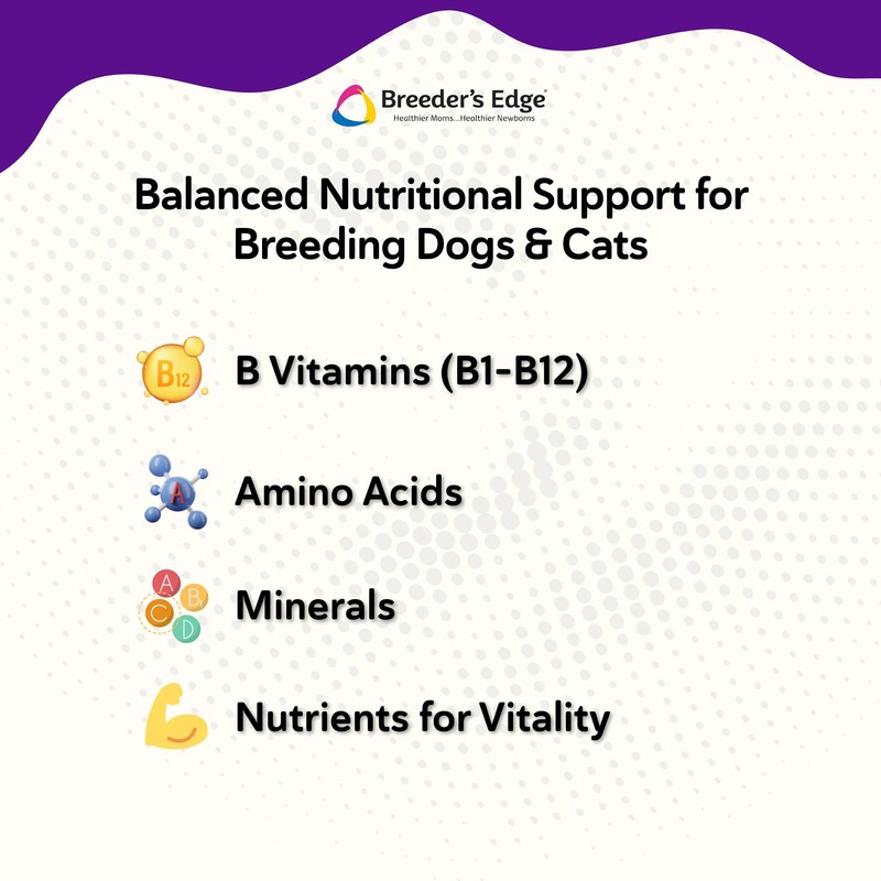 Breeder’s Edge B Strong Powder, B-Complex Vitamin Supplement for Dogs