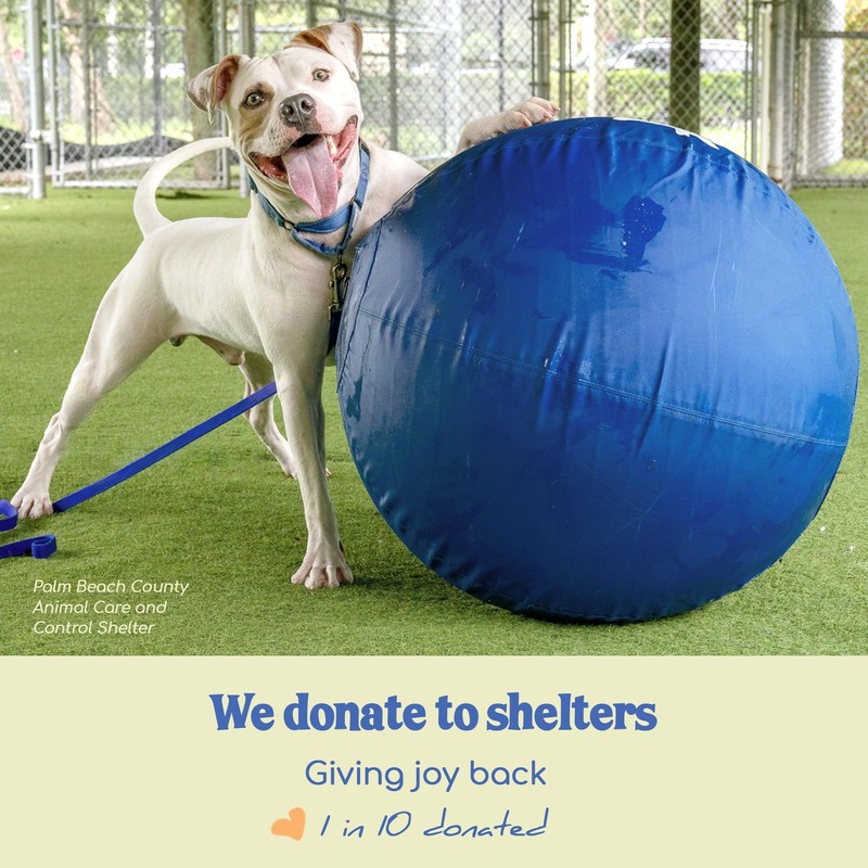 Race&Herd 30" Original XXL Herding Ball for Dogs - Herding