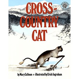 Cross-Country Cat