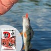 Fishing Bait Pellets,Catfish Bait Chunks - Hook up Grass Carp