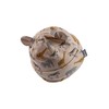 Sterntaler Safaritiere Beanie - Baby Hat with UV Protection 30,